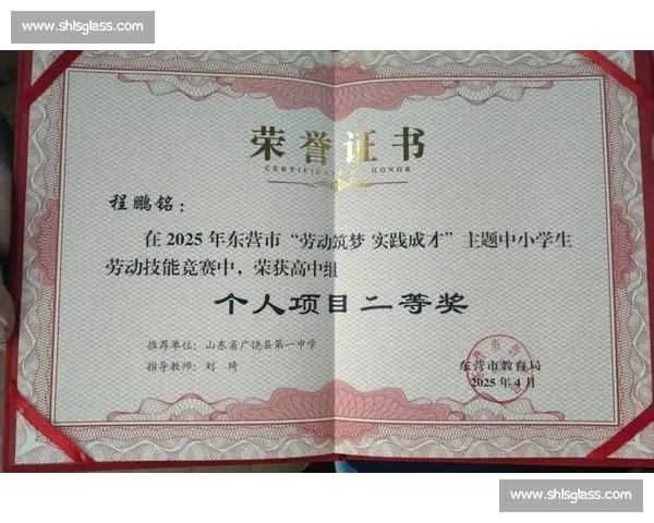 省级竞赛荣誉证书激励下的学生成长与能力提升探索