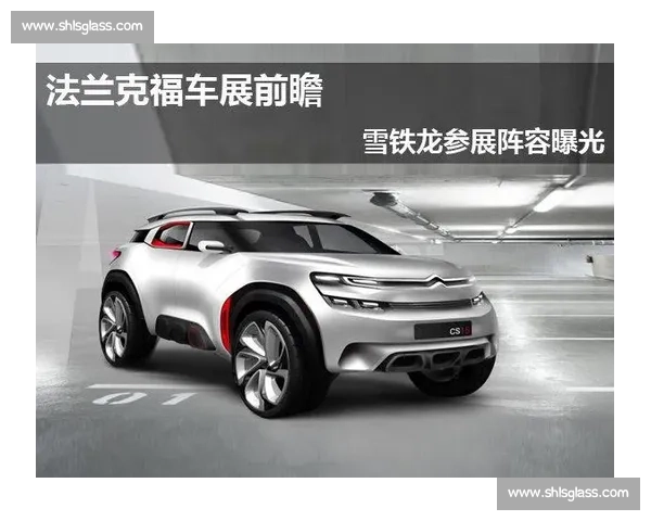 雪铁龙赛车队在世界拉力锦标赛中的辉煌历程与未来展望